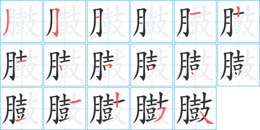 臌字的筆順分步演示