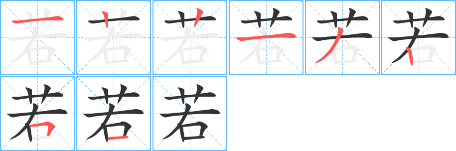 若字的筆順?lè)植窖菔?></p>
<h2>若的釋義：</h2>
若<br />ruòㄖㄨㄛˋ<br />◎如果，假如：～果。倘～。假～。天～有情天亦老。<br />◎如，像：年相～。安之～素。旁～無(wú)人。置～罔聞。門庭～市。<br />◎你，汝：～輩。“更～役，復(fù)～賦，則何如？”<br />◎約計(jì)：～干（ɡān）。～許。<br />◎此，如此：“以～所為，求～所欲，猶緣木而求魚也。”<br />◎順從：“曾孫是～。”<br />◎指“海若”（古代神話中的海神）：“望洋向～而嘆。”<br />◎指“若木”（古代神話中的樹(shù)名）。<br />◎指“杜若”（古書上說(shuō)的一種香草）：“沐蘭澤，含～芳”。～英（“杜若”的花）。<br />◎文言句首助詞，常與“夫”合用：“～夫陰雨霏霏，連月不開(kāi)。”<br />◎用在形容詞或副詞后，表示事物的狀態(tài)：“桑之未落，其葉沃～”。<br />其它字義<br />●若<br />rěㄖㄜˇ<br />◎〔般若〕見(jiàn)“般3”。<br />
<p>上一個(gè)：<a href='bs1559.html'>苫的筆順</a></p>
<p>下一個(gè)：<a href='bs1557.html'>苒的筆順</a></p>
<h3>相關(guān)筆畫筆順</h3>
<p class=
