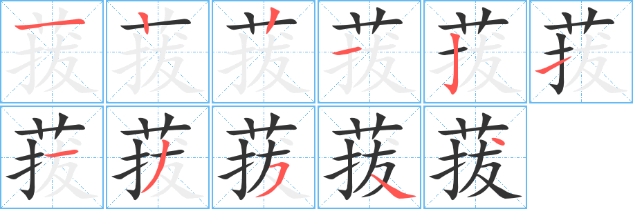 菝字的筆順分步演示