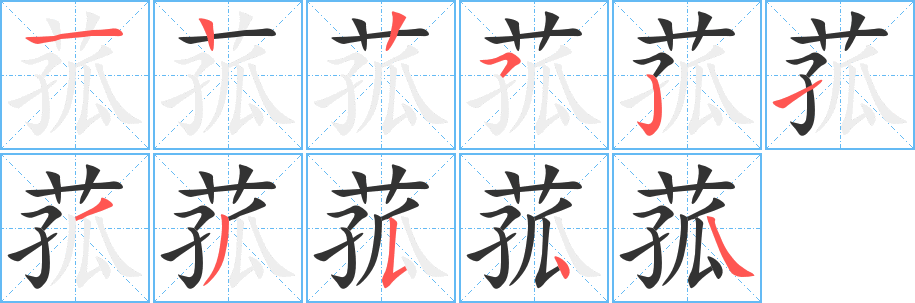 菰字的筆順?lè)植窖菔?></p>
<h2>菰的釋義：</h2>
菰<br />gū<br />多年生草本植物，生在淺水里，嫩莖稱(chēng)“茭白”、“蔣”，可做蔬菜。果實(shí)稱(chēng)“菰米”，“雕胡米”，可煮食。<br />同“菇”。<br />筆畫(huà)數(shù)：11；<br />部首：艸；<br />筆順編號(hào)：12252133544<br />
<p>上一個(gè)：<a href='bs5287.html'>菇的筆順</a></p>
<p>下一個(gè)：<a href='bs5285.html'>菔的筆順</a></p>
<h3>相關(guān)筆畫(huà)筆順</h3>
<p class=
