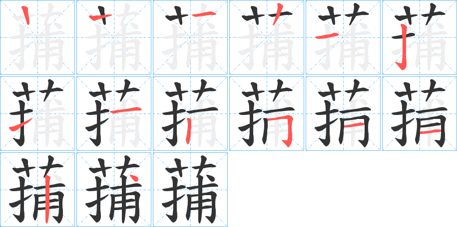 蒱字的筆順分步演示