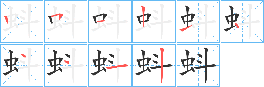 蚪字的筆順分步演示
