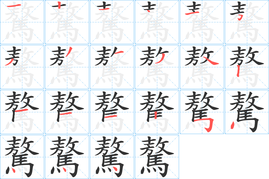 驁字的筆順分步演示