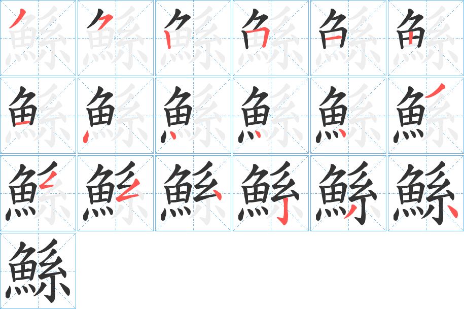 鯀字的筆順?lè)植窖菔?></p>
<h2>鯀的釋義：</h2>
鯀<br />gǔn<br />見(jiàn)“鯀”。<br />筆畫(huà)數(shù)：18；<br />部首：魚(yú)；<br />筆順編號(hào)：352512144443554234<br />
<p>上一個(gè)：<a href='bs18969.html'>鯊的筆順</a></p>
<p>下一個(gè)：<a href='bs18967.html'>鯉的筆順</a></p>
<h3>相關(guān)筆畫(huà)筆順</h3>
<p class=
