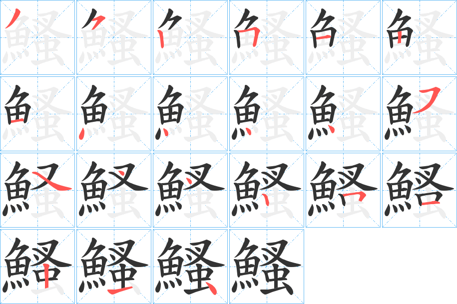 鰠字的筆順?lè)植窖菔?></p>
<h2>鰠的釋義：</h2>
鰠<br />sāo<br />〔鰠魚〕形似鱣的一種魚。<br />筆畫數(shù)：20；<br />部首：魚；<br />筆順編號(hào)：35251214444544251214<br />
<p>上一個(gè)：<a href='bs18207.html'>鱀的筆順</a></p>
<p>下一個(gè)：<a href='bs18205.html'>鰀的筆順</a></p>
<h3>相關(guān)筆畫筆順</h3>
<p class=