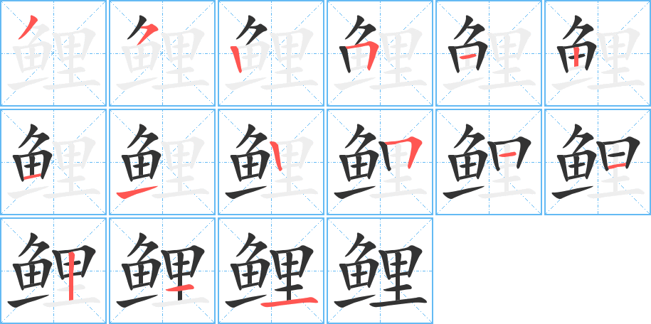 鯉字的筆順分步演示