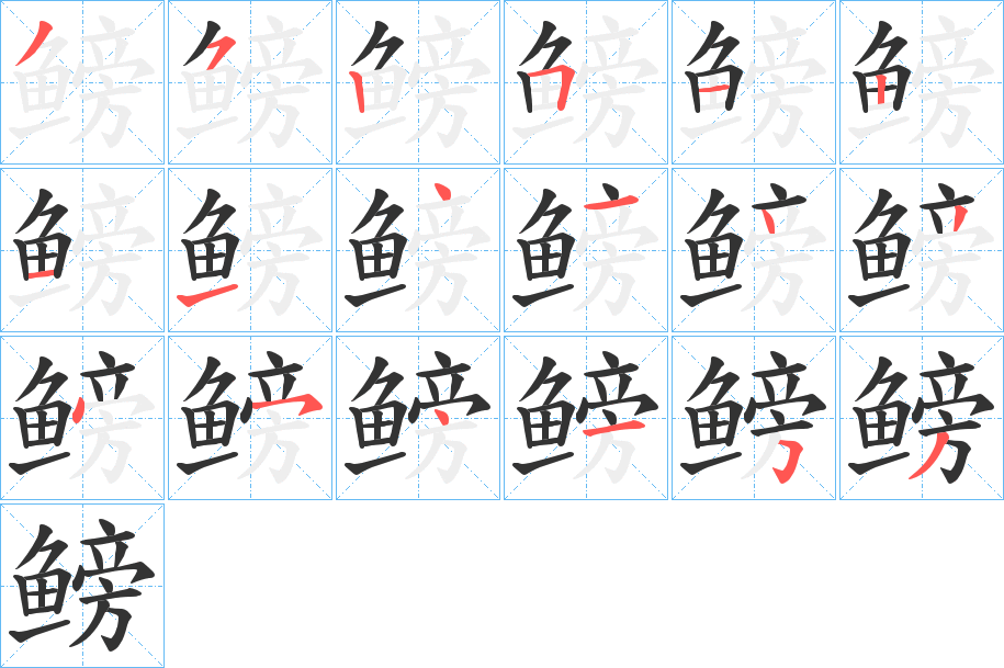 鳑字的筆順分步演示