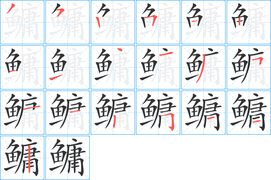 鳙字的筆順分步演示