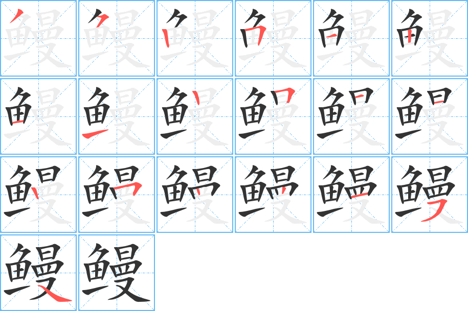 鰻字的筆順?lè)植窖菔?></p>
<h2>鰻的釋義：</h2>
鰻<br />（鰻）<br />mán<br />〔鰻鱺魚(yú)〕身體細(xì)長(zhǎng)，前圓后扁，生活在淡水中，到海洋產(chǎn)卵。肉含豐富脂肪。亦稱“白鱔”、“白鰻”，簡(jiǎn)稱“鰻”。<br />（鰻）<br />筆畫(huà)數(shù)：19；<br />部首：魚(yú)；<br />筆順編號(hào)：3525121125112522154<br />
<p>上一個(gè)：<a href='bs19496.html'>鳘的筆順</a></p>
<p>下一個(gè)：<a href='bs19494.html'>鱉的筆順</a></p>
<h3>相關(guān)筆畫(huà)筆順</h3>
<p class=