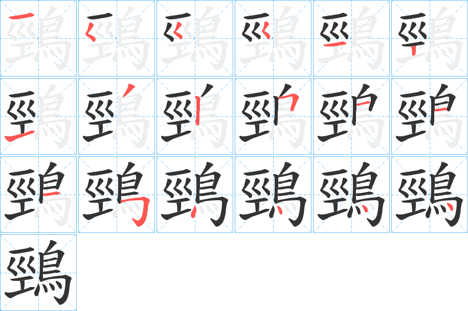 鵛字的筆順分步演示