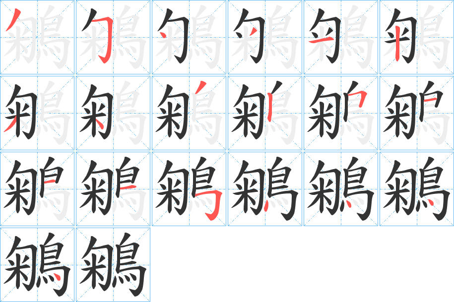 鵴字的筆順分步演示