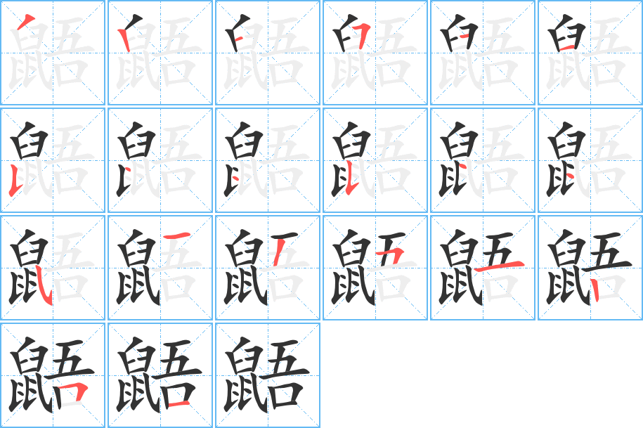 鼯字的筆順分步演示